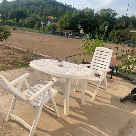 Ubytovani V Apartmanu, 2 Loznice, Na Farme Bzany Екстер'єр фото